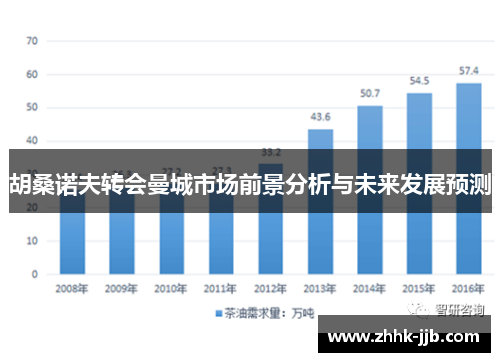胡桑诺夫转会曼城市场前景分析与未来发展预测 胡桑诺夫转会曼城市场前景分析与未来发展预测